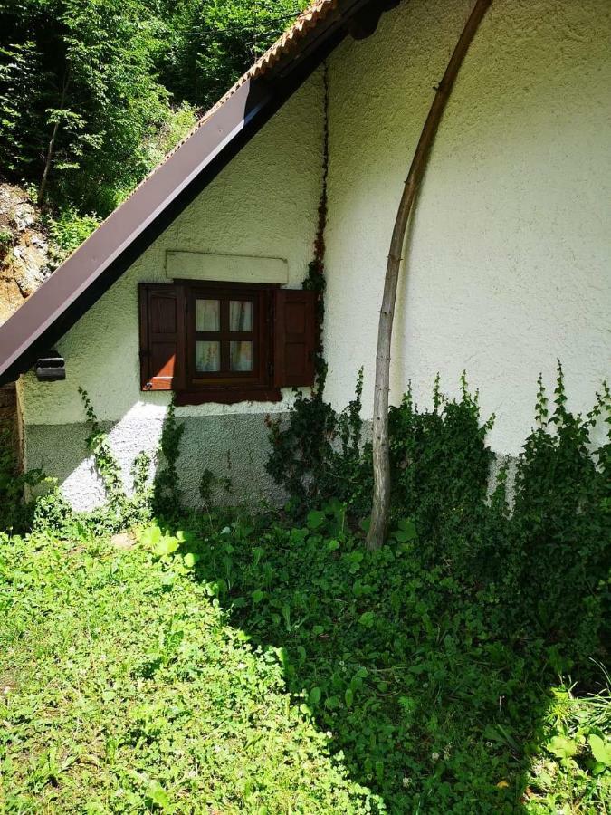 Kopise Daire Zoll Dış mekan fotoğraf